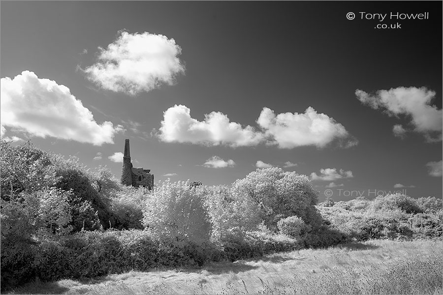 West Wheal Peevor Mine (Infrared Camera, turns foliage white)